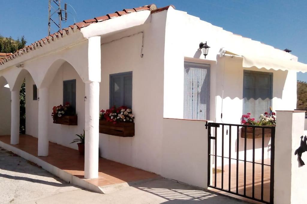 The Vine Studio Rubite  Exterior foto